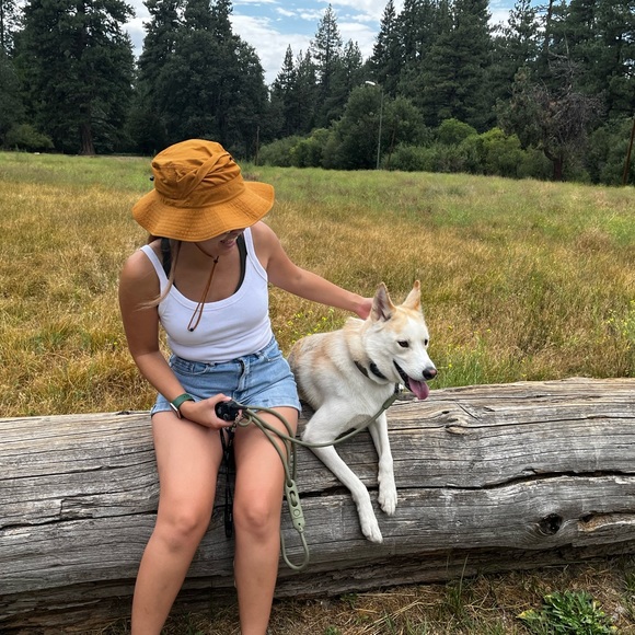 Meet your Posher, MC - Picture 2 of 2